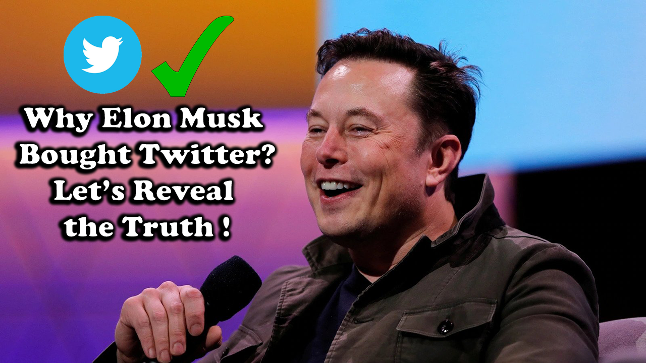 Why did Elon musk buy Twitter? Let's Discuss it